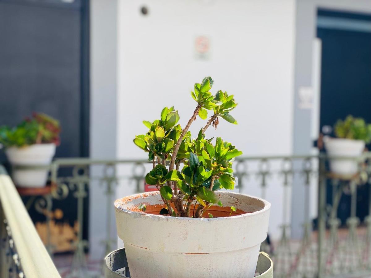 Hotel Kuku Ruku 3*